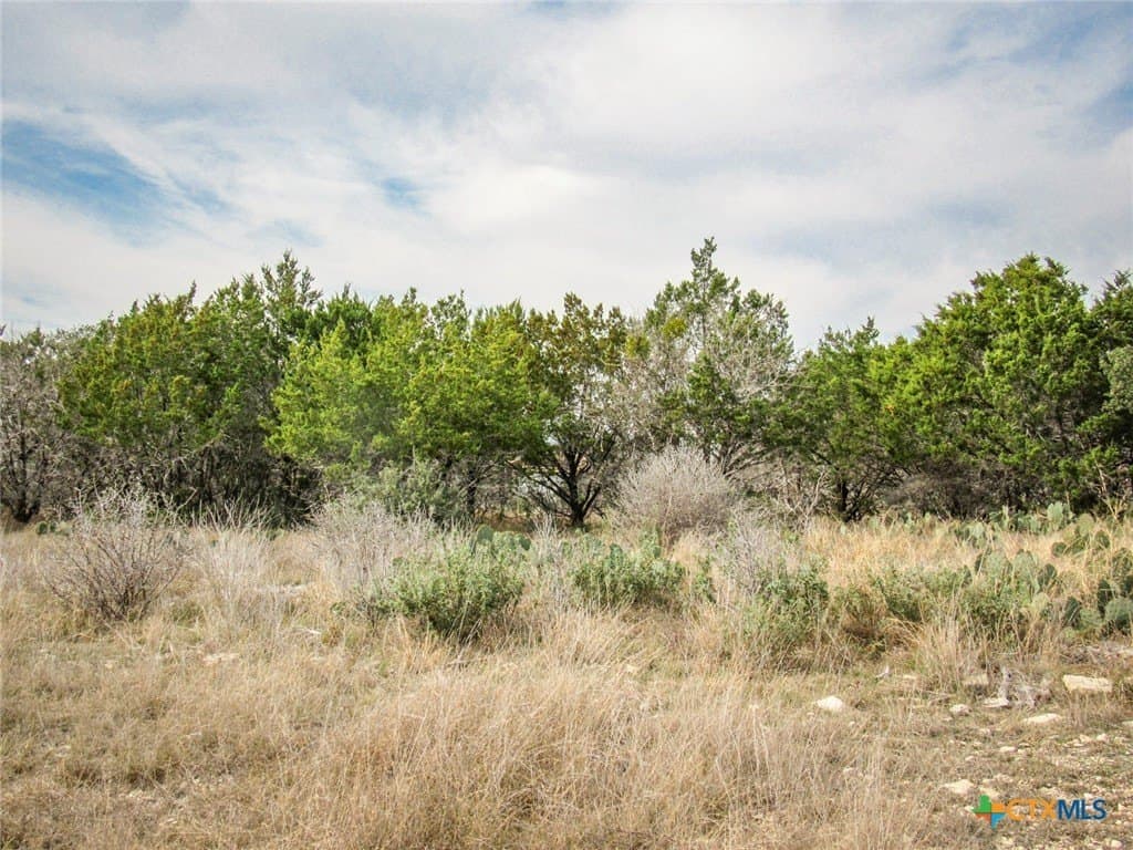 5.94 acres in Burnet County - photo 28