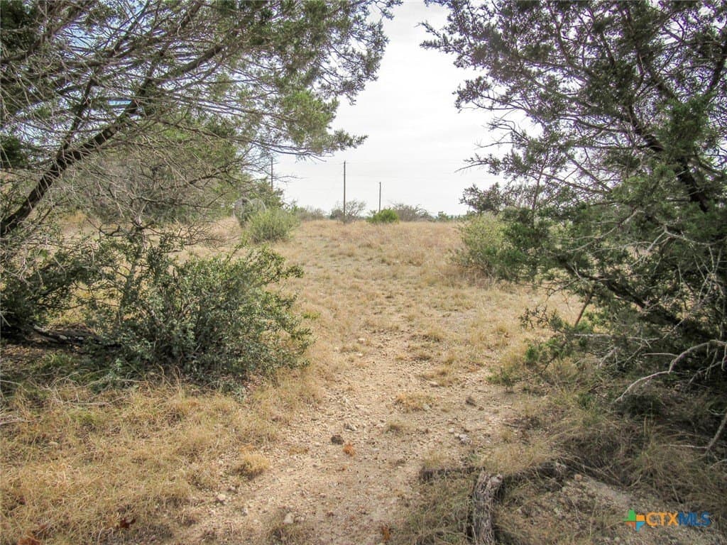 5.94 acres in Burnet County - photo 16