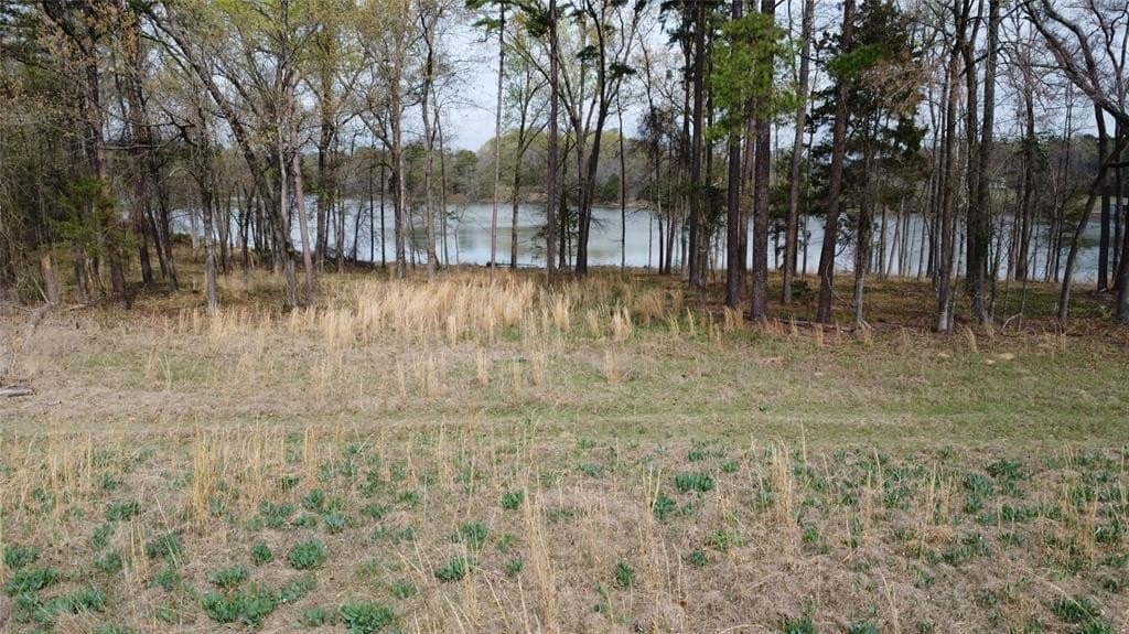69.14 acres in Titus County - photo 35