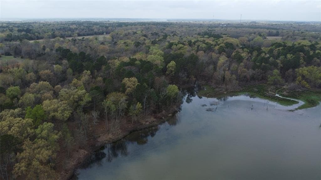 69.14 acres in Titus County - photo 33