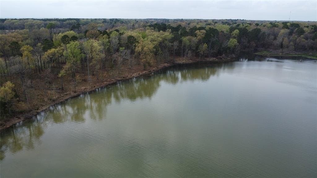 69.14 acres in Titus County - photo 31