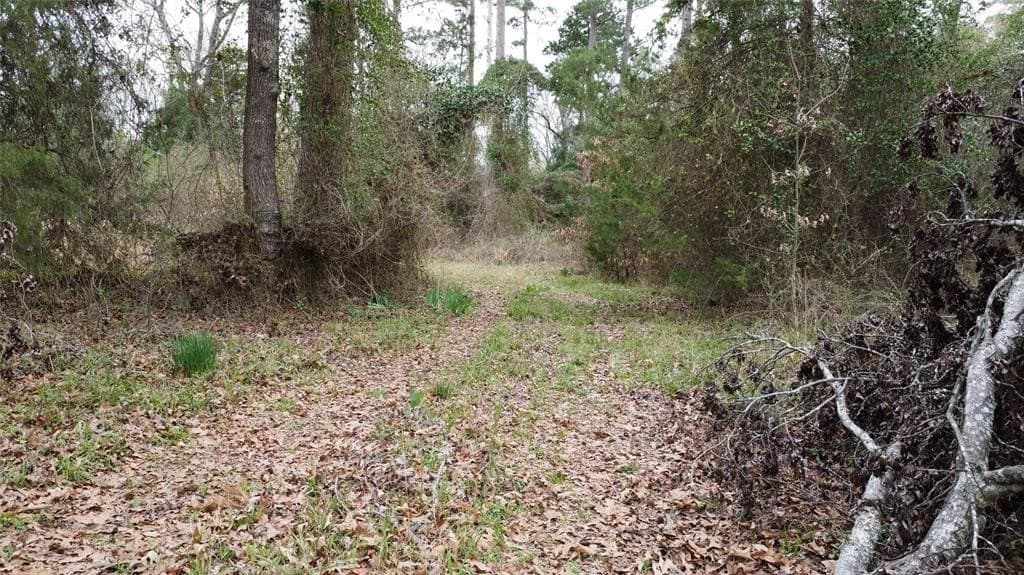 69.14 acres in Titus County - photo 17