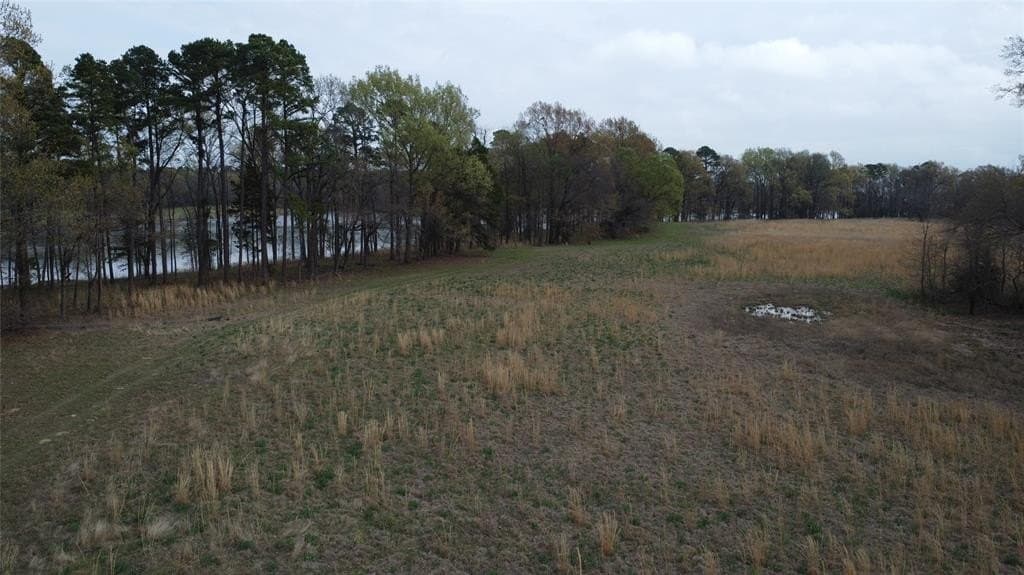 69.14 acres in Titus County - photo 28