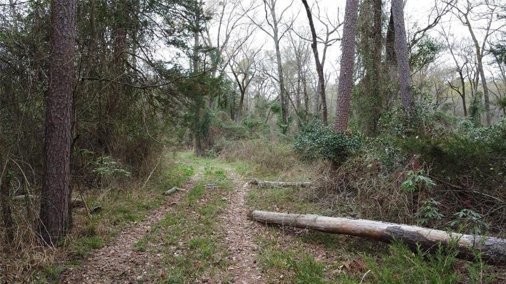 69.14 acres in Titus County - photo 18