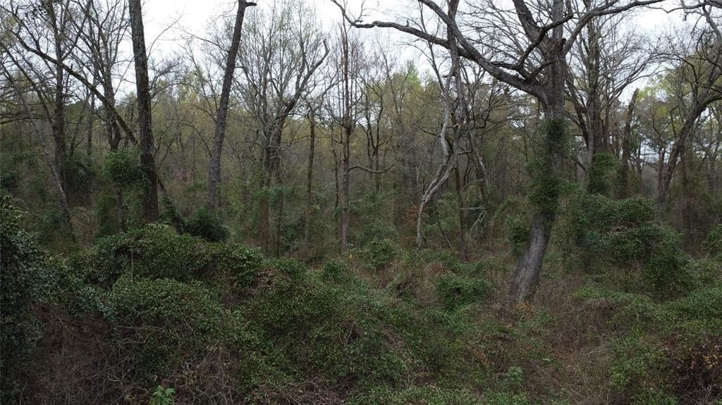 69.14 acres in Titus County - photo 20