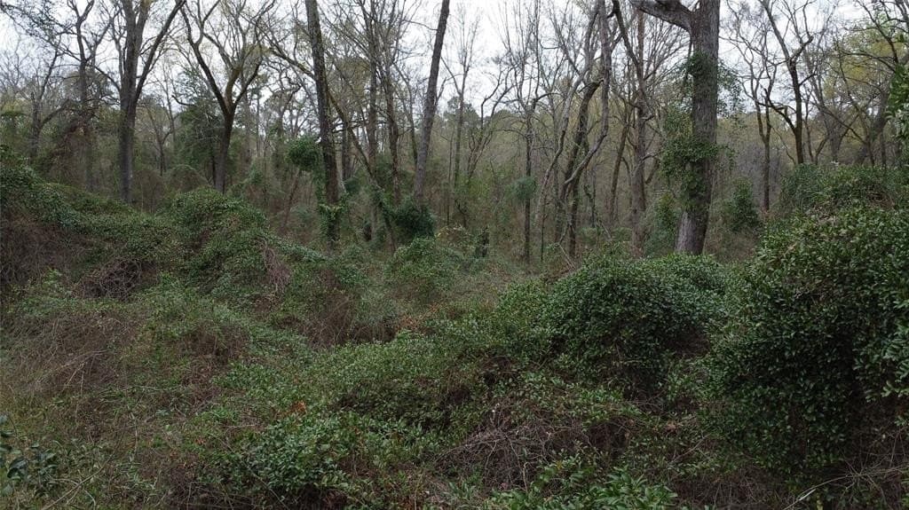 69.14 acres in Titus County - photo 19