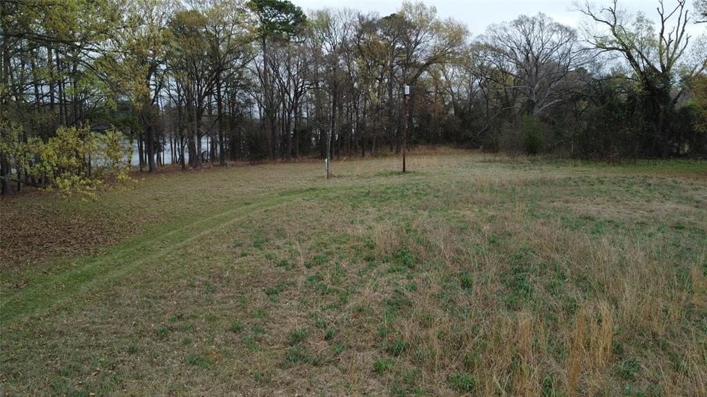 69.14 acres in Titus County - photo 9