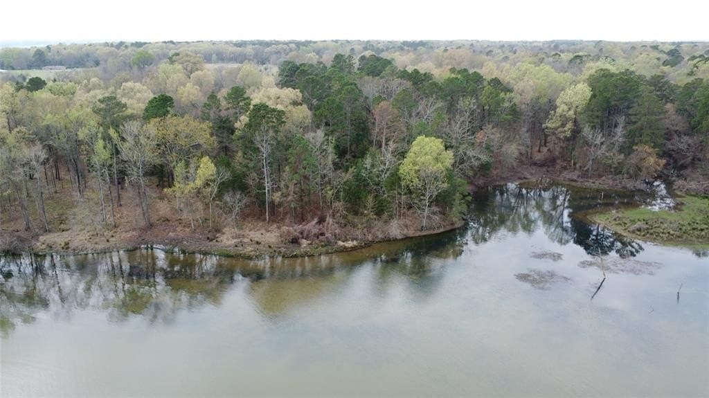 69.14 acres in Titus County - photo 32