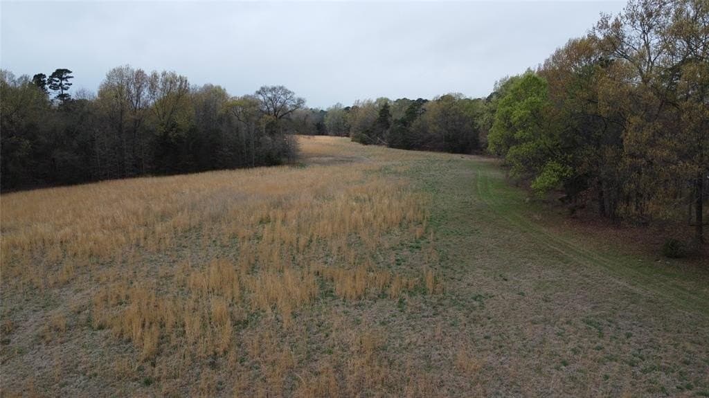 69.14 acres in Titus County - photo 13