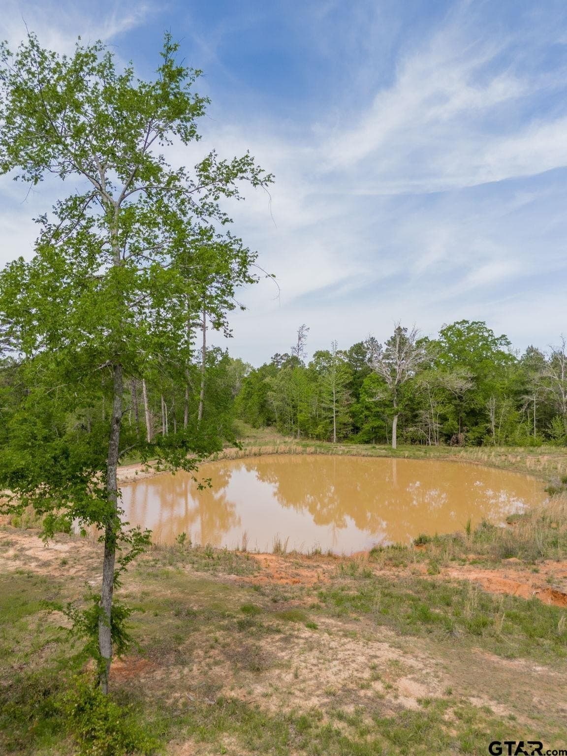 10.75 acres in Smith County - photo 15