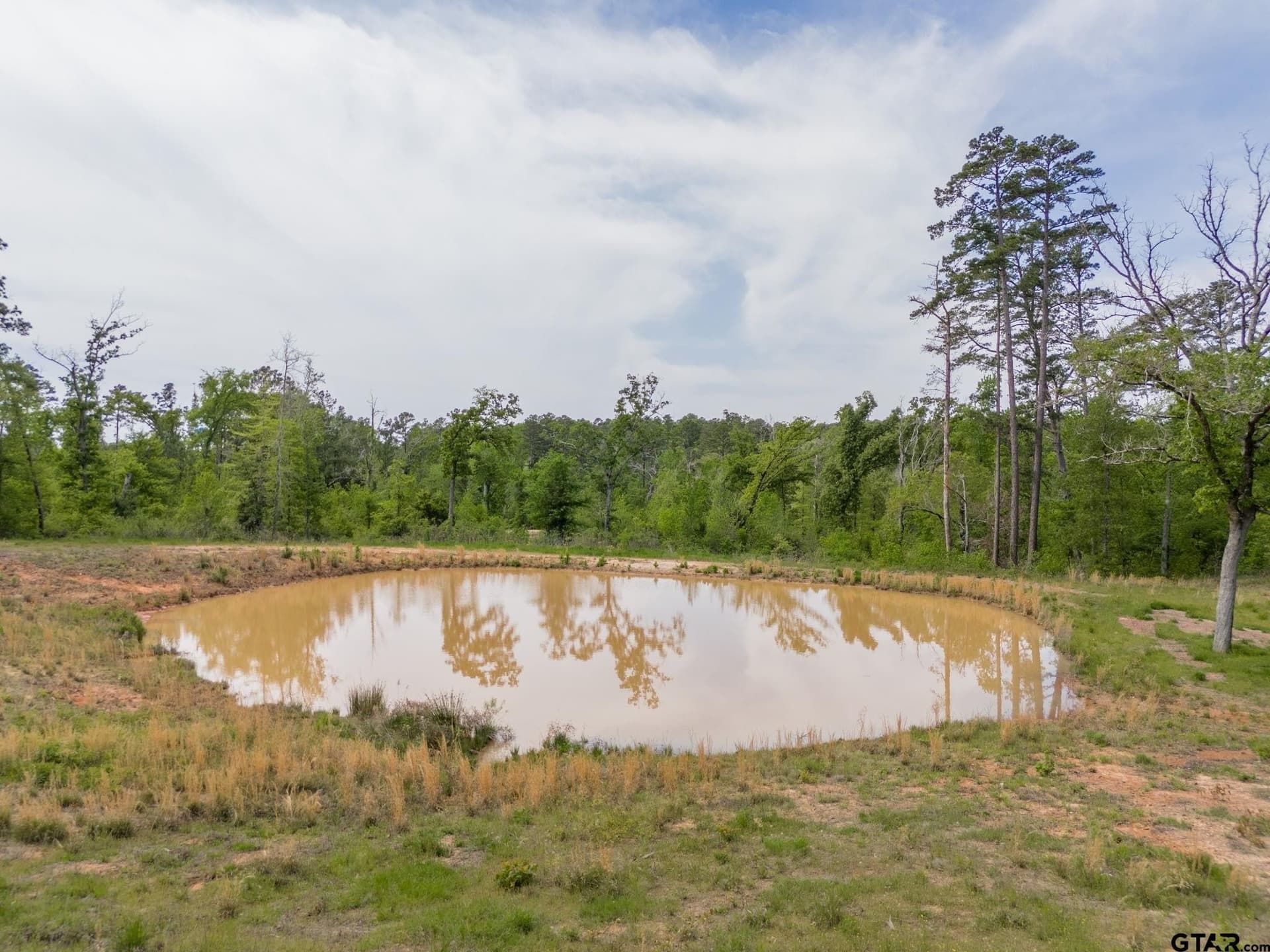 10.75 acres in Smith County - photo 14