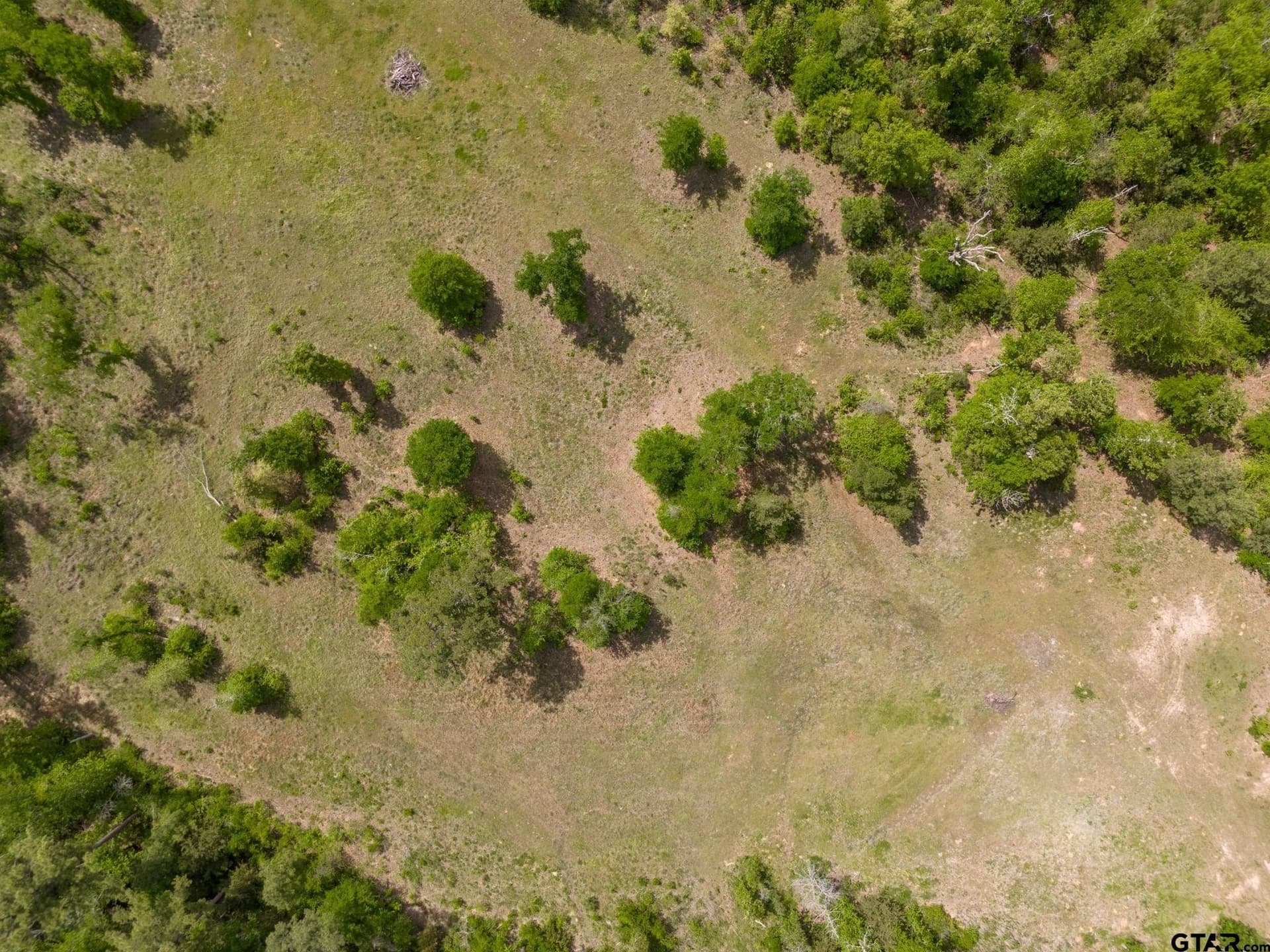 10.75 acres in Smith County - photo 11