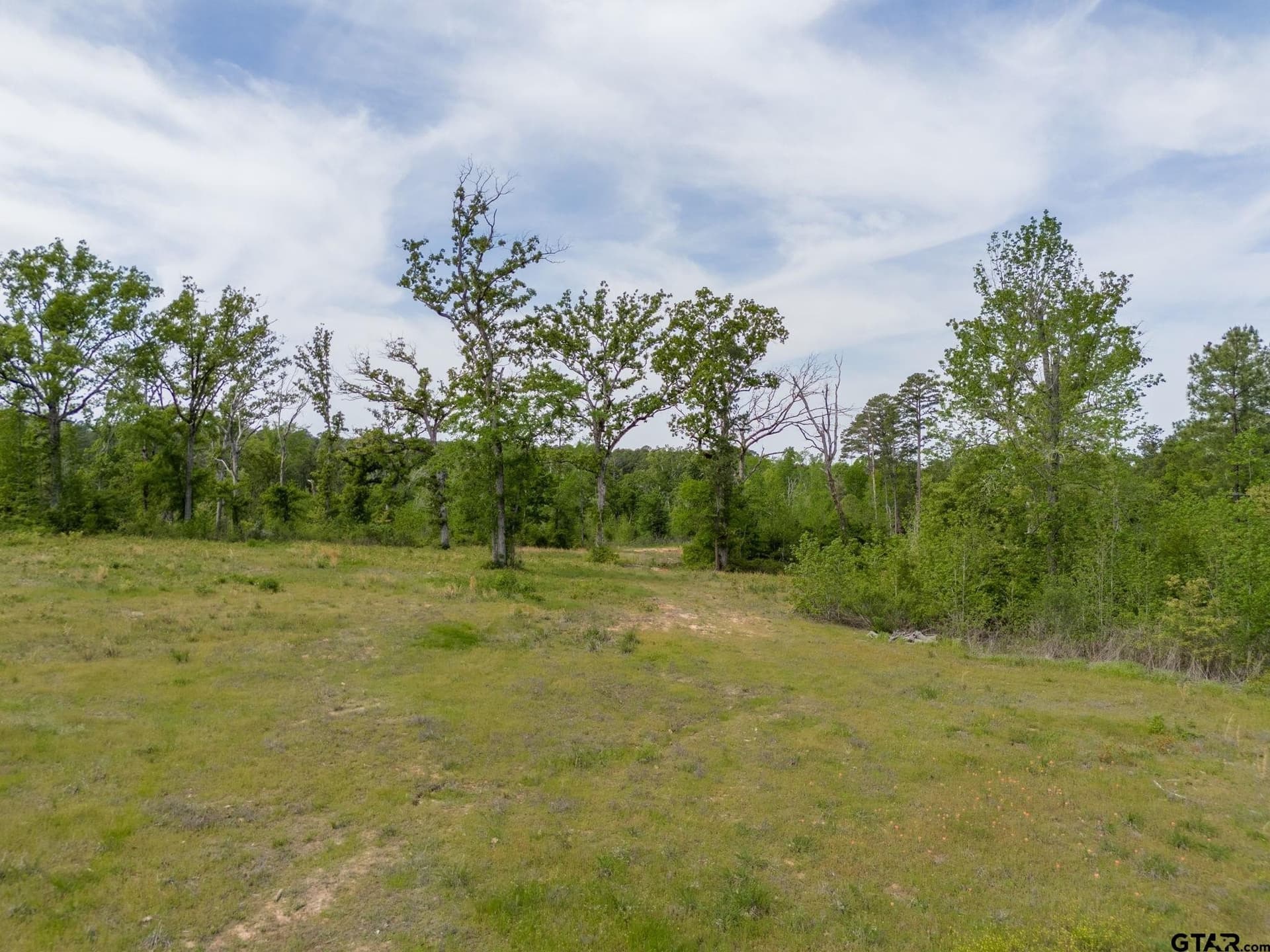 10.75 acres in Smith County - photo 17