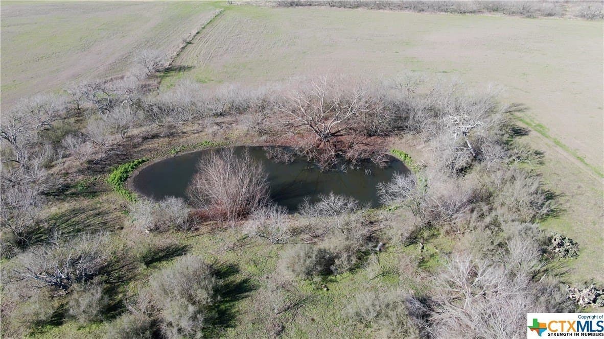 88 acres in Guadalupe County - photo 8