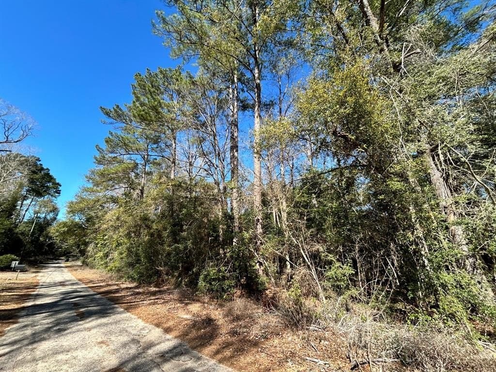 0.19 acres in Tyler County - photo 7