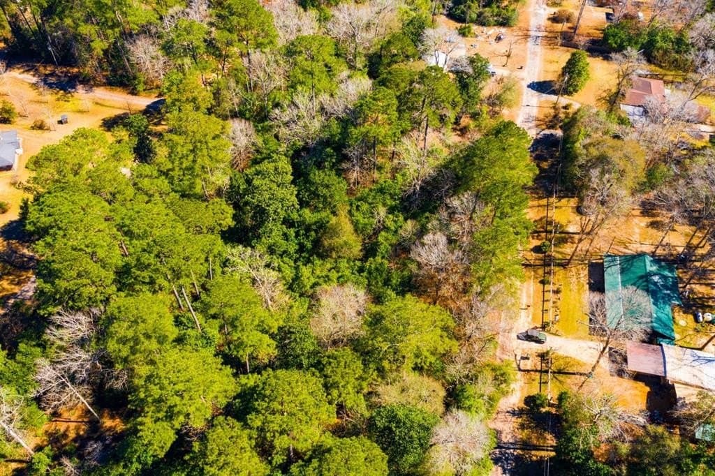 0.19 acres in Tyler County - photo 20