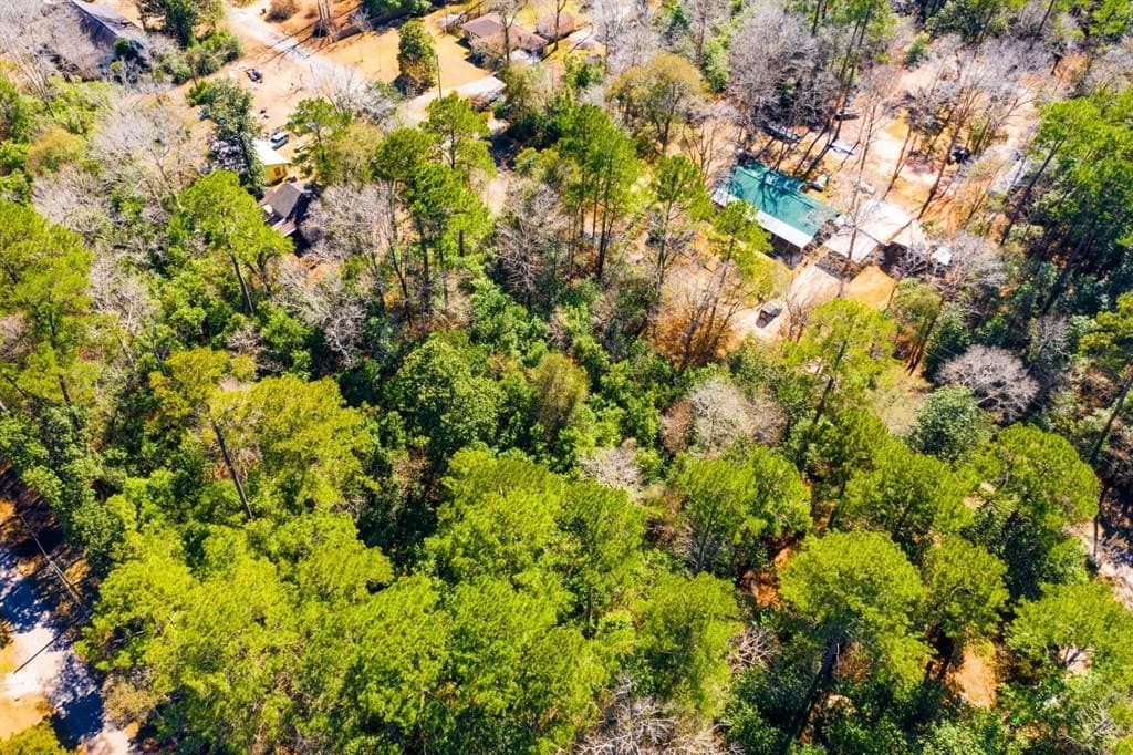 0.19 acres in Tyler County - photo 18