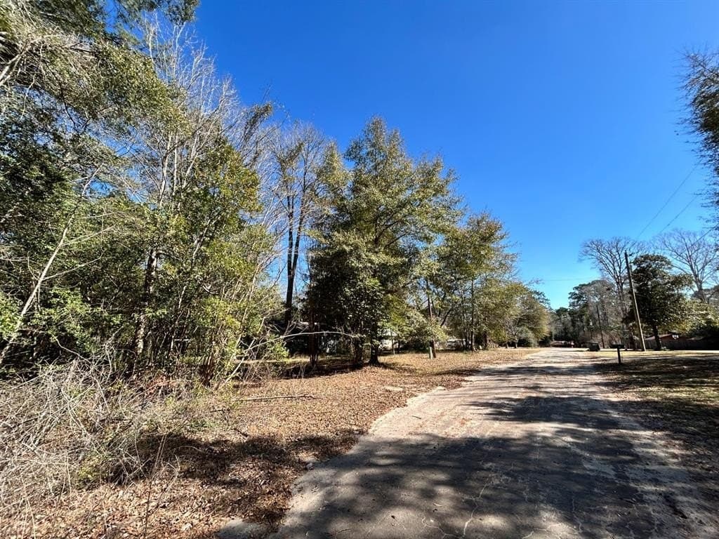 0.19 acres in Tyler County - photo 5