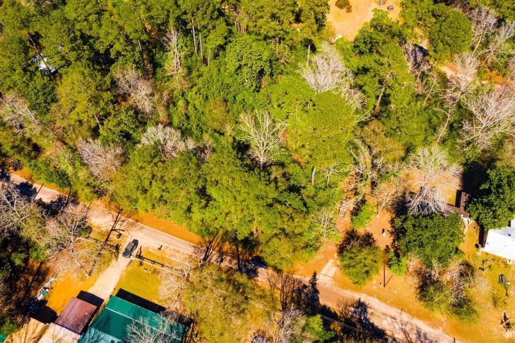 0.19 acres in Tyler County - photo 9
