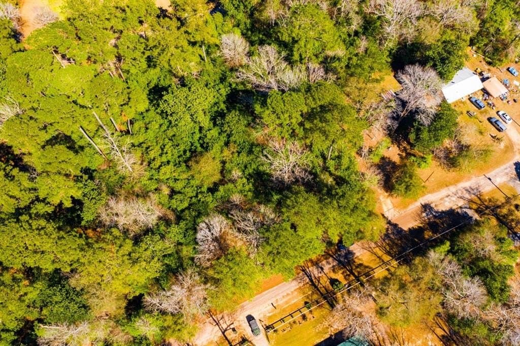 0.19 acres in Tyler County - photo 23