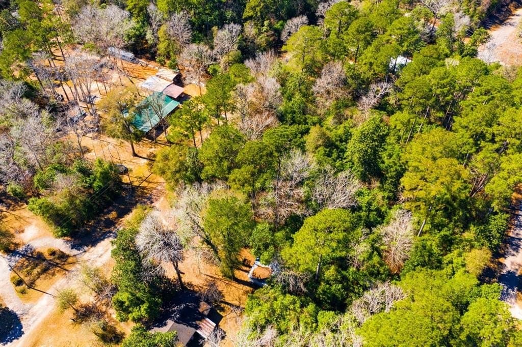 0.19 acres in Tyler County - photo 13