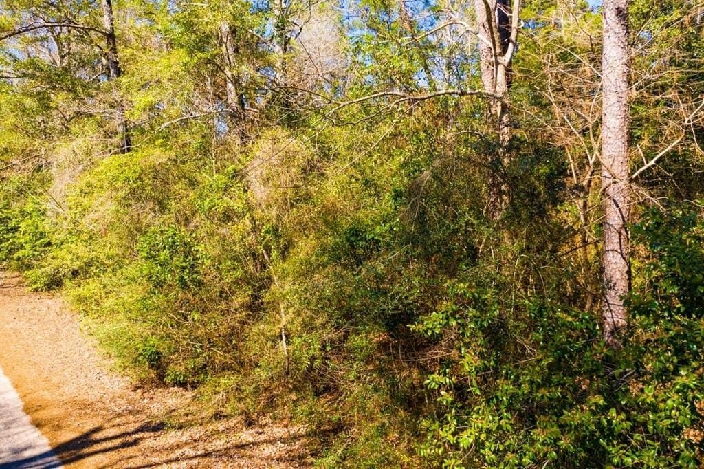0.19 acres in Tyler County - photo 31