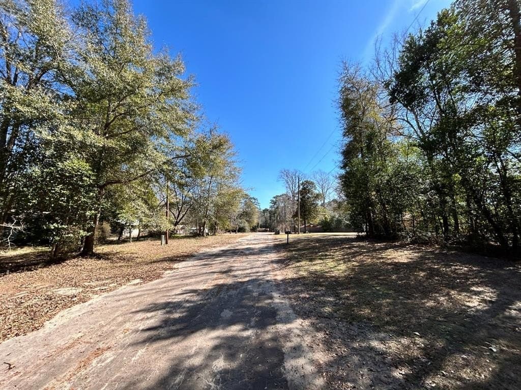 0.19 acres in Tyler County - photo 4