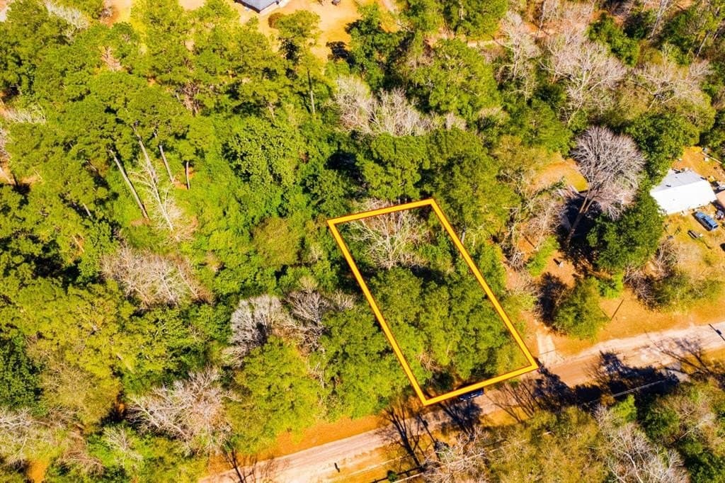0.19 acres in Tyler County - photo 8