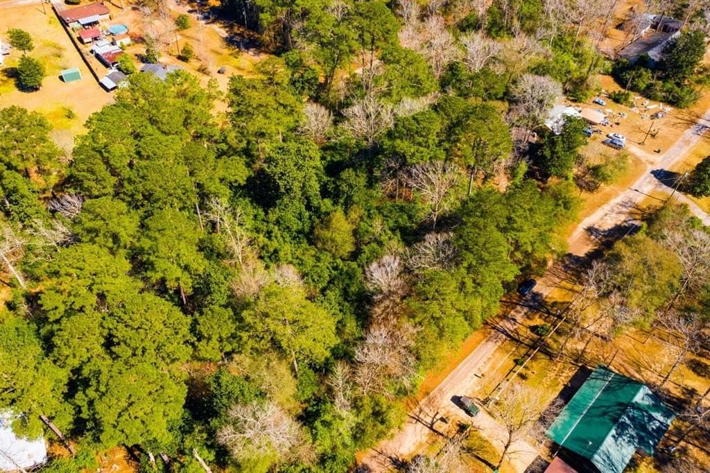 0.19 acres in Tyler County - photo 21