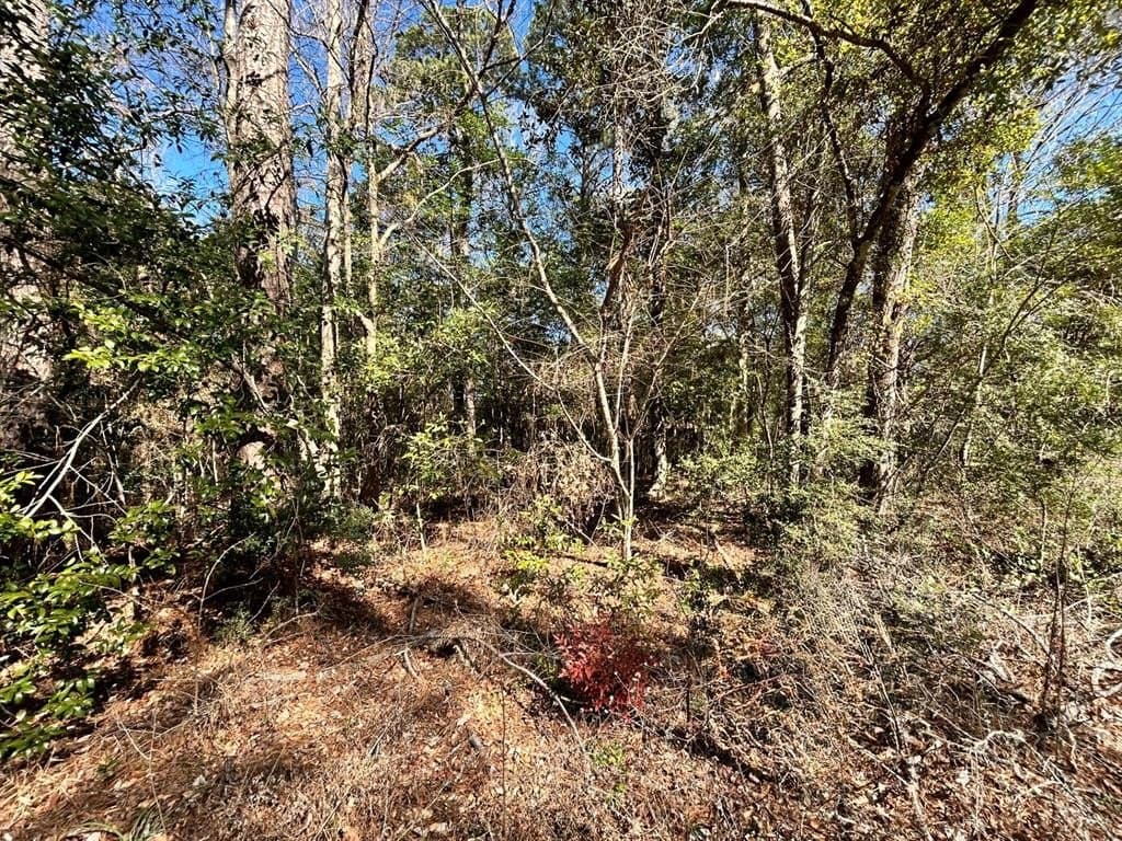 0.19 acres in Tyler County - photo 3