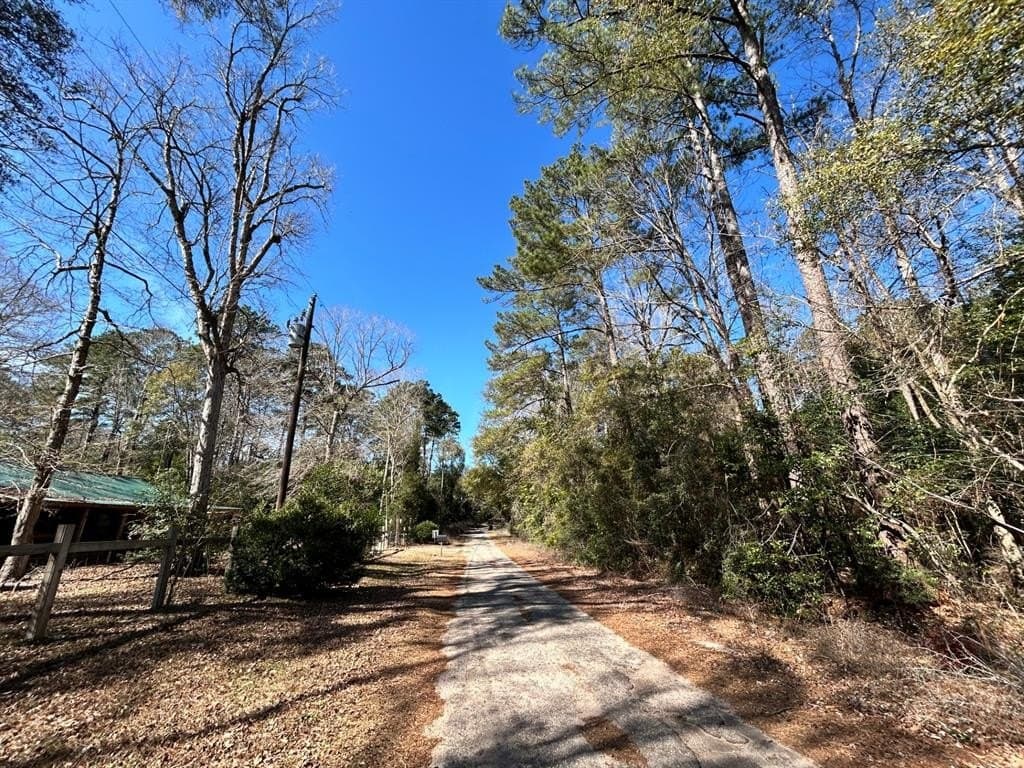 0.19 acres in Tyler County - photo 2
