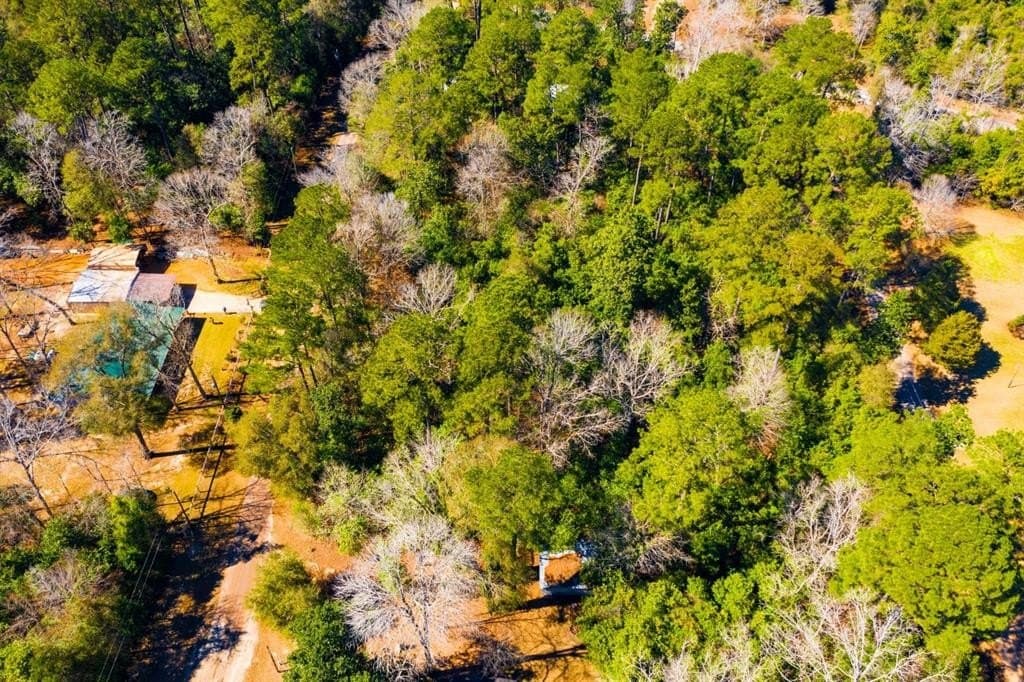 0.19 acres in Tyler County - photo 12