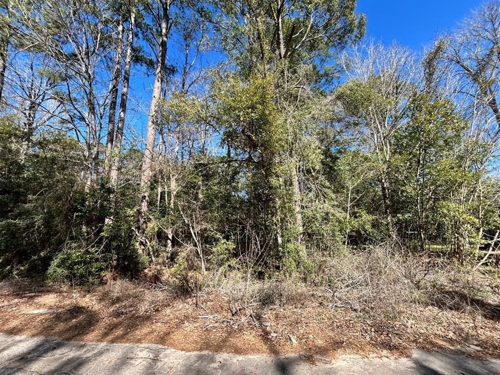 0.19 acres in Tyler County - photo 6