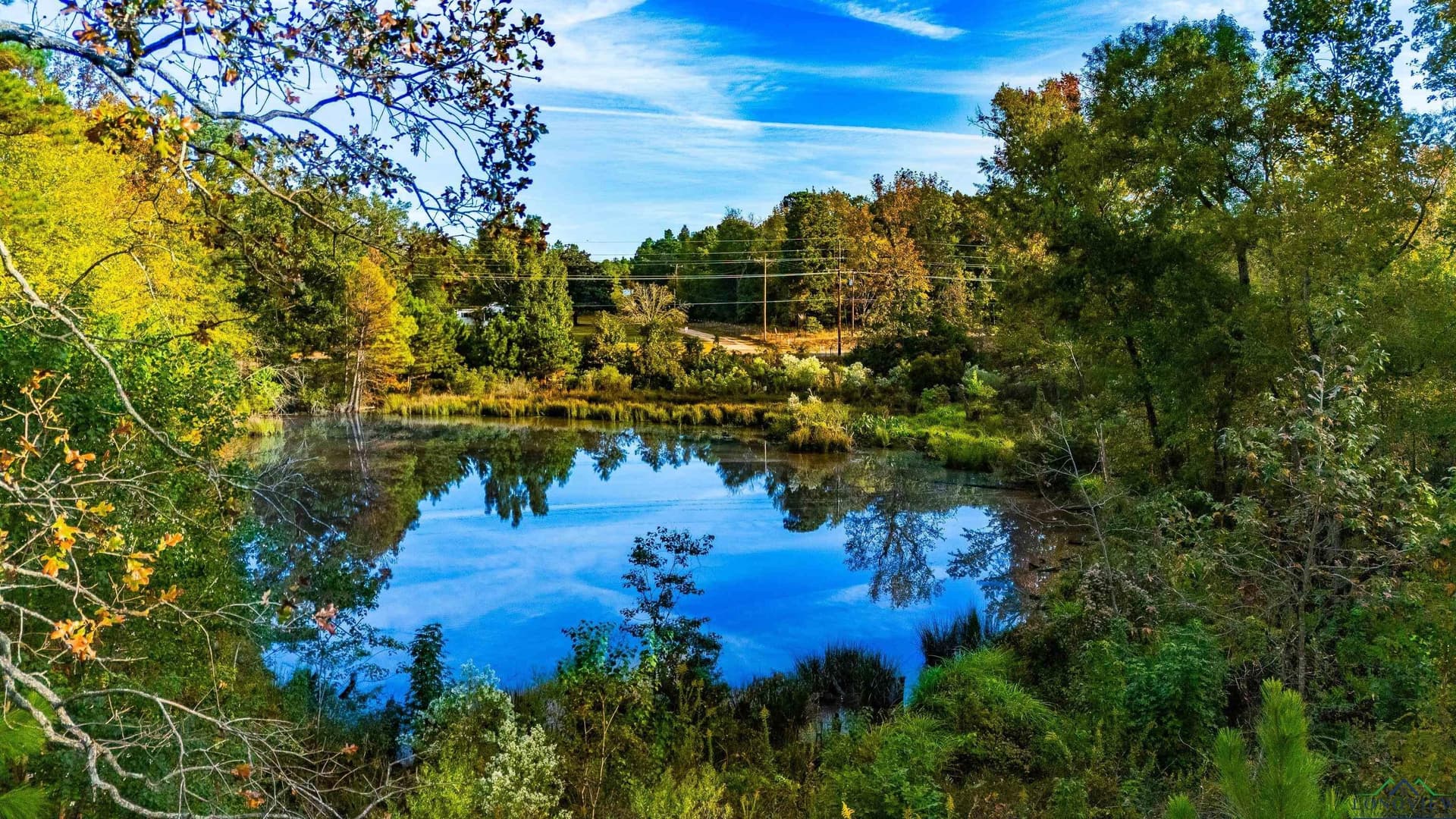 10.1 acres in Gregg County - photo 8