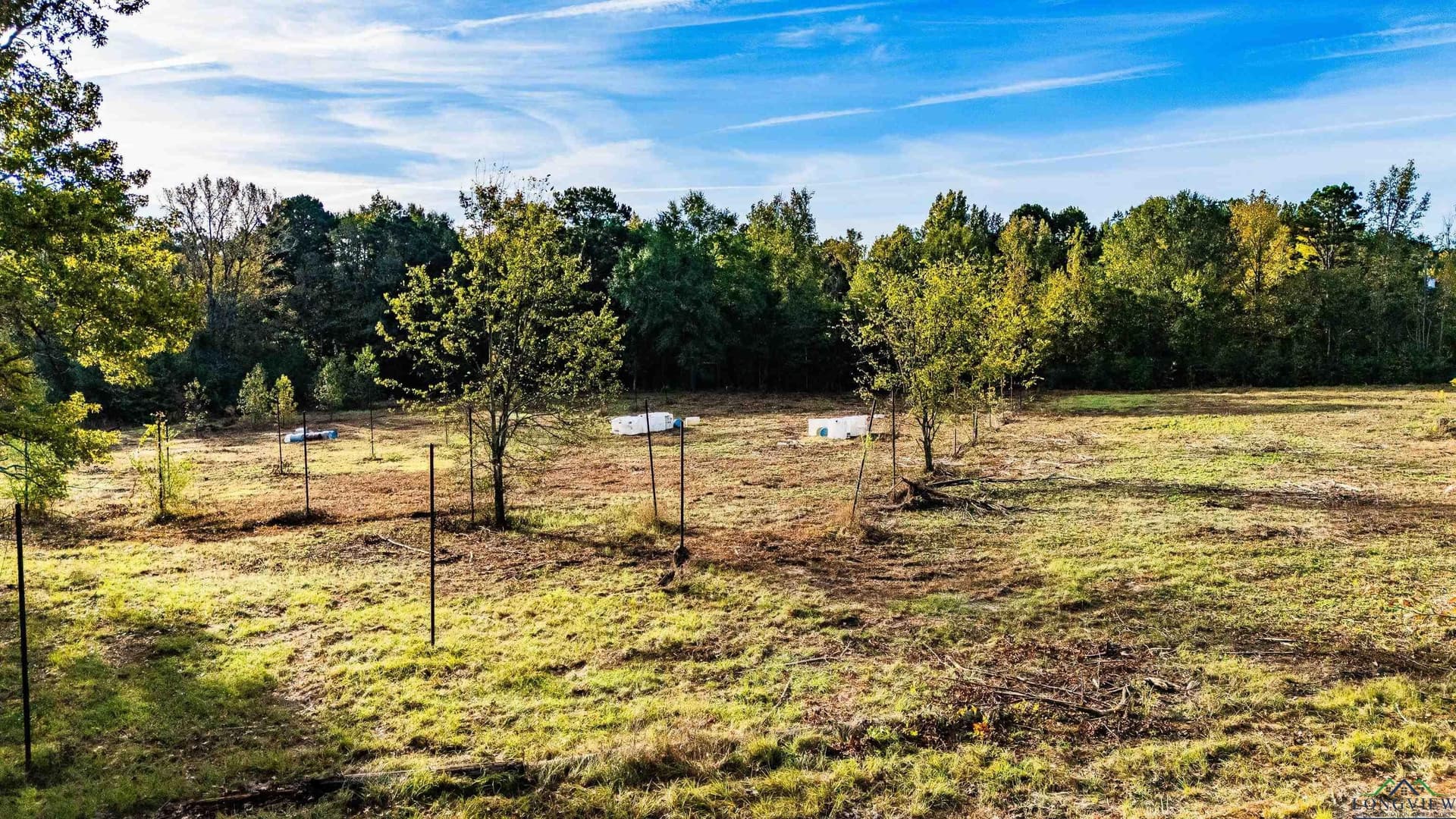 10.1 acres in Gregg County - photo 13