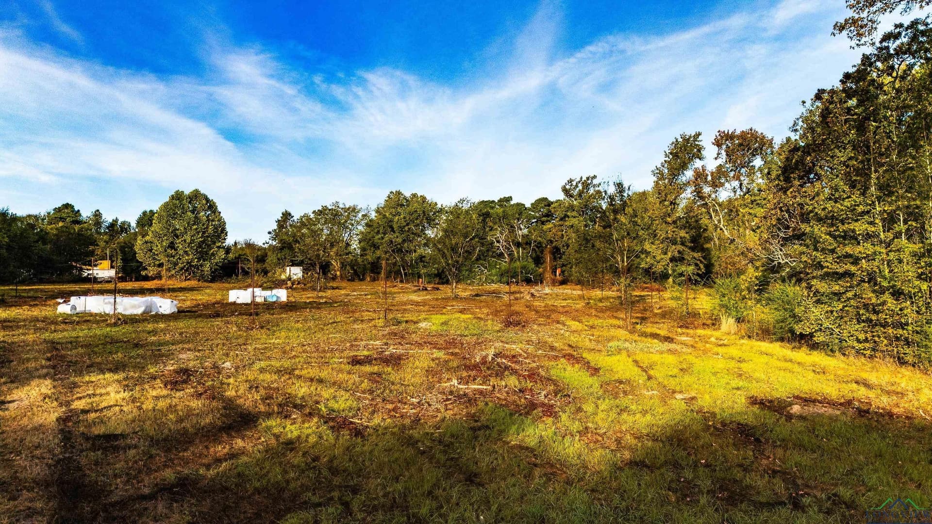 10.1 acres in Gregg County - photo 5