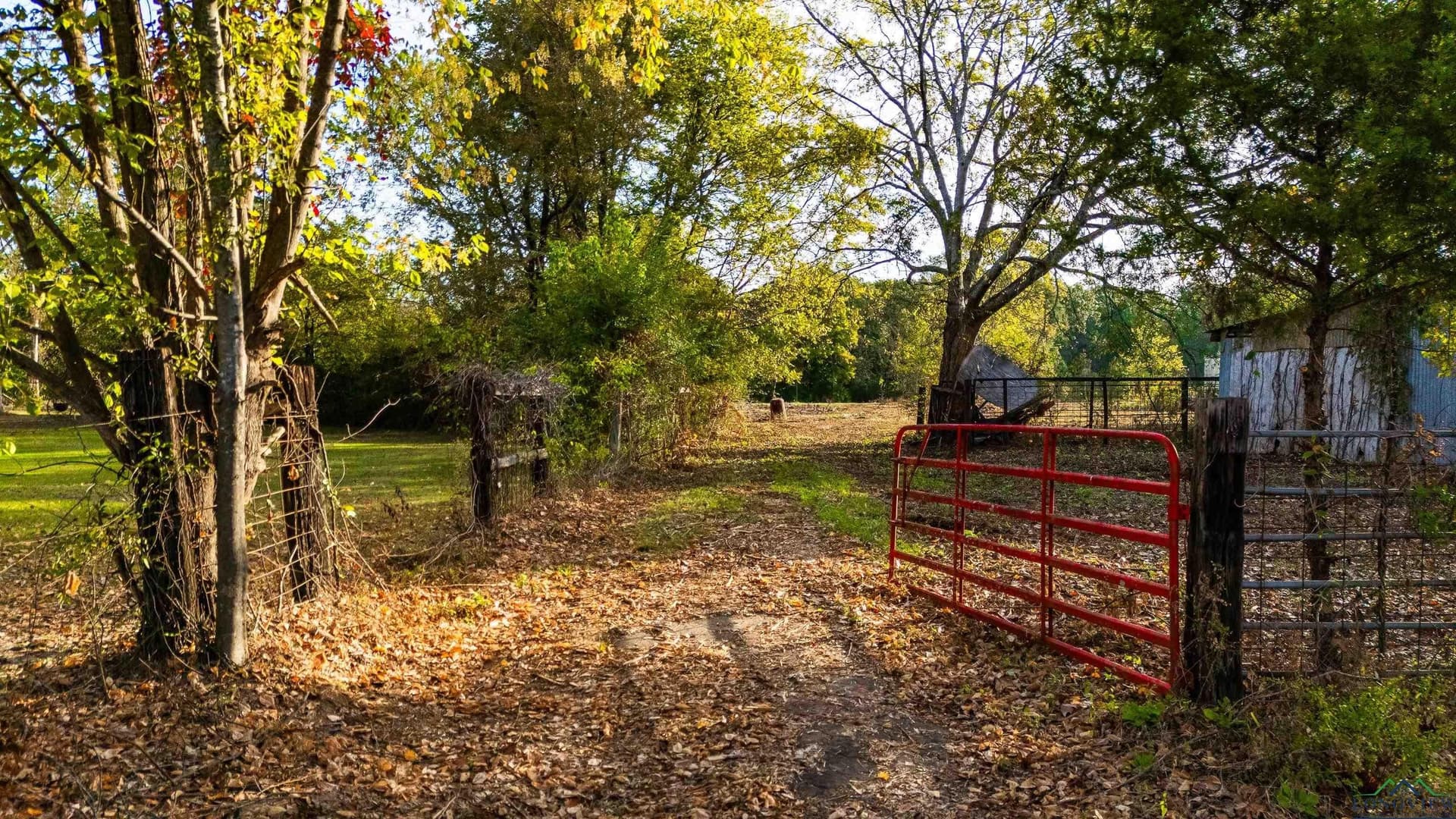 10.1 acres in Gregg County - photo 6