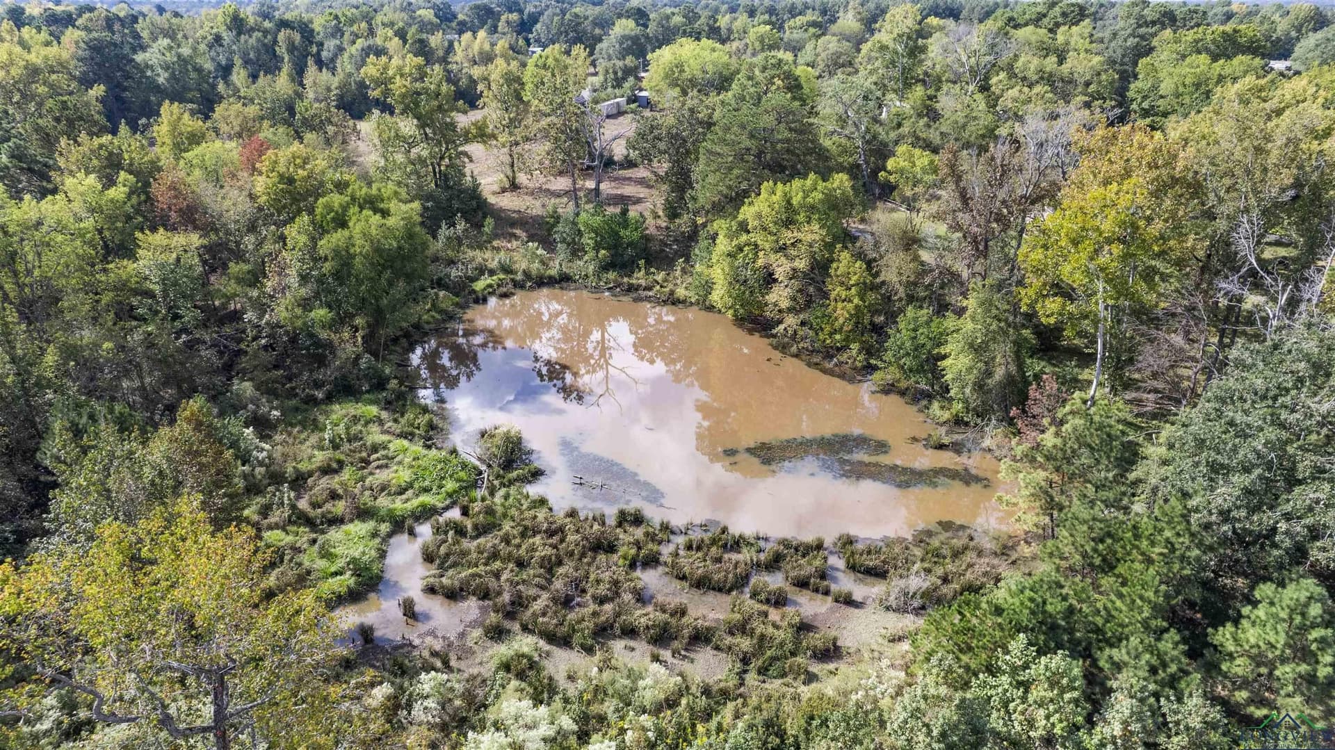 10.1 acres in Gregg County - photo 15