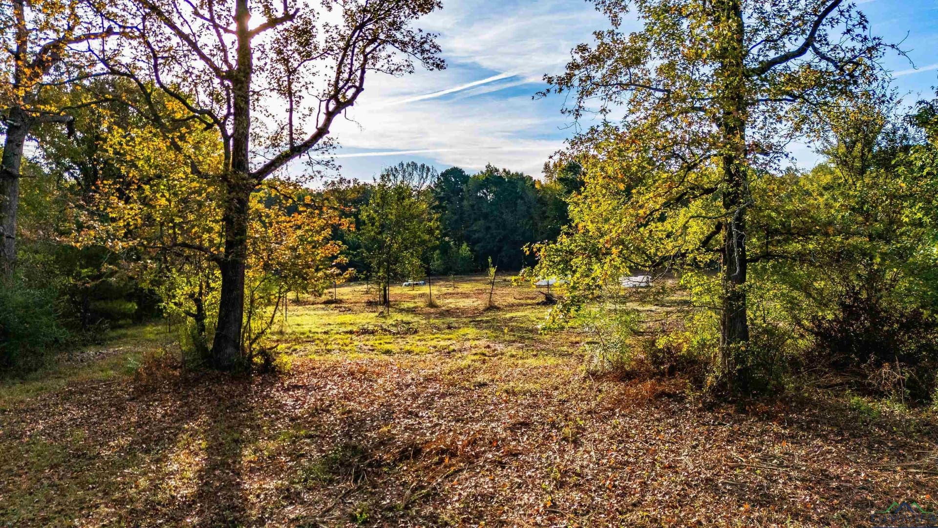 10.1 acres in Gregg County - photo 10