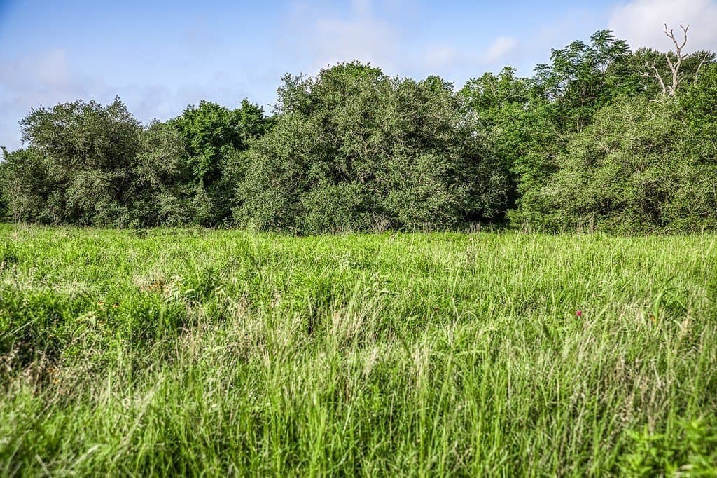 12.8 acres in Fayette County - photo 6