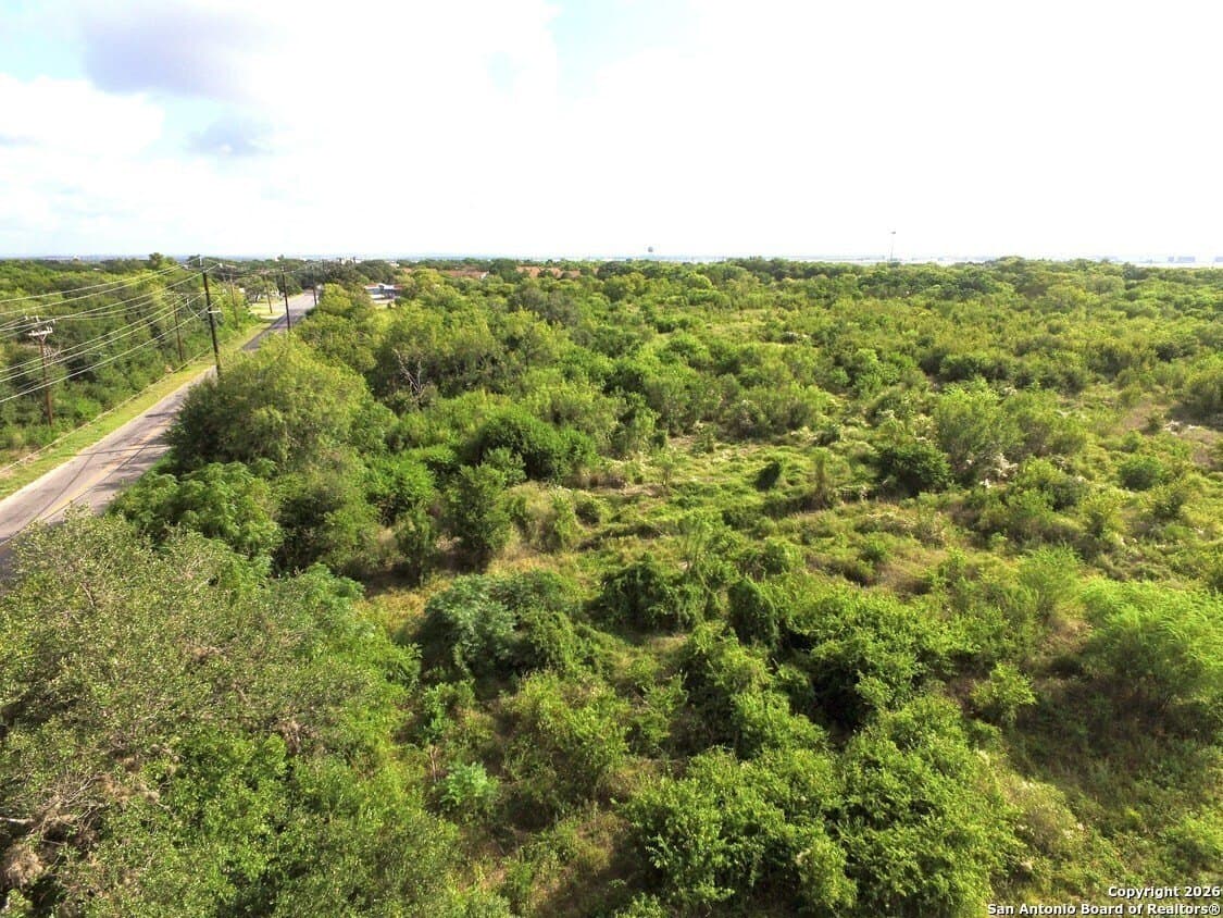 70 acres in Bexar County - photo 13