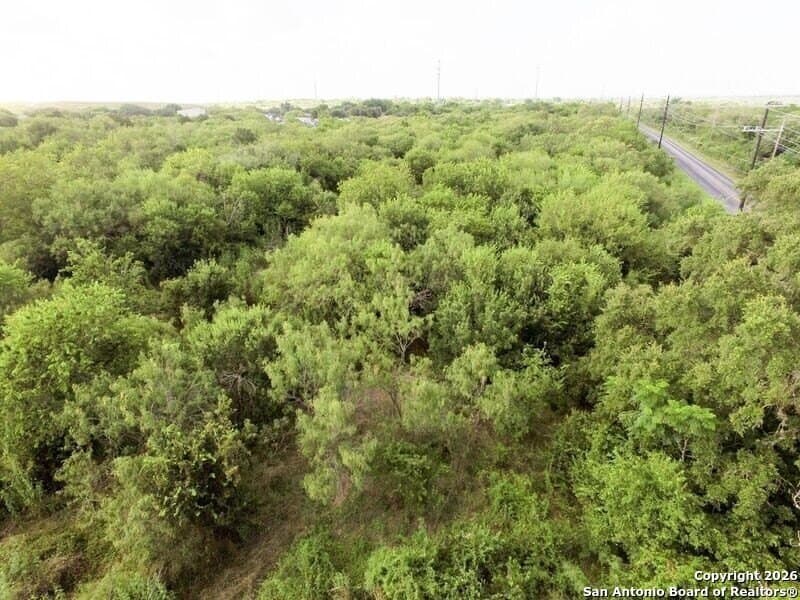 70 acres in Bexar County - photo 14