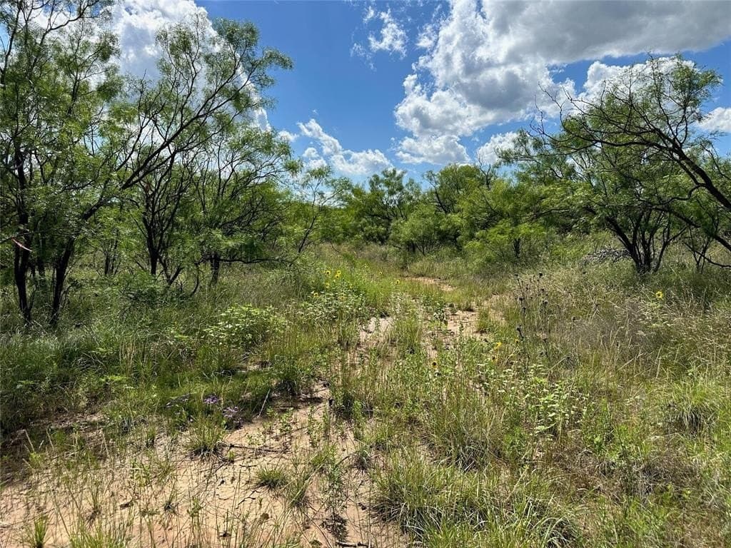 10.5 acres in Brown County - photo 14