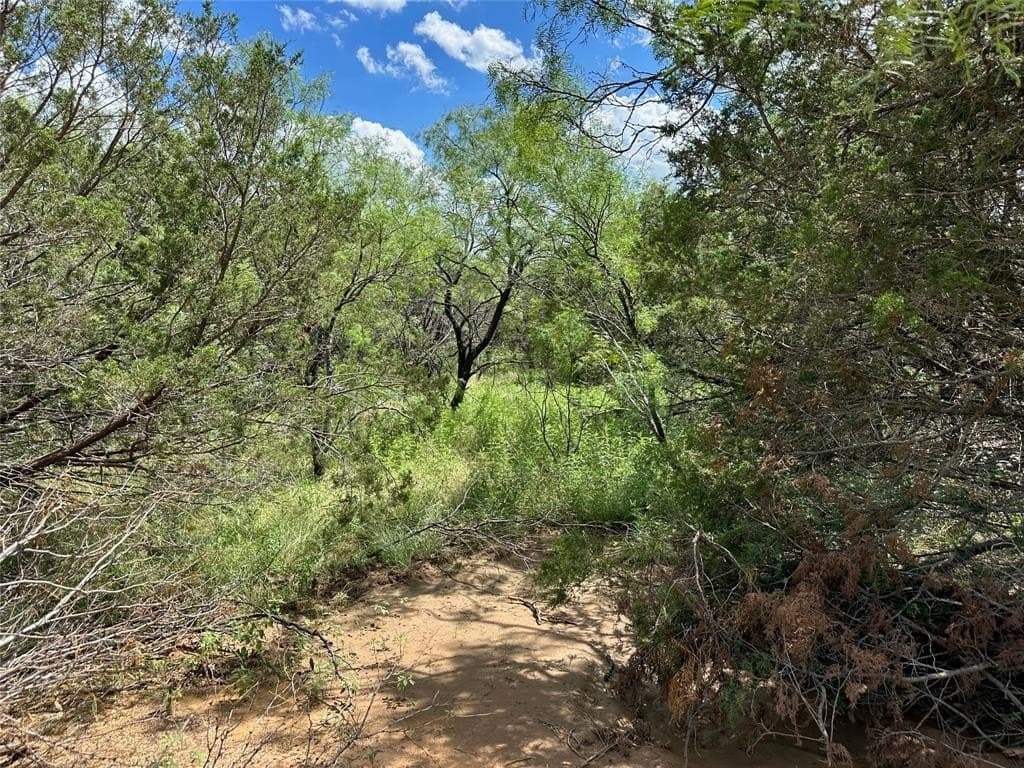 10.5 acres in Brown County - photo 10