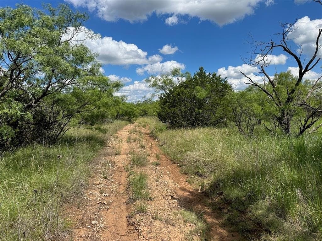 10.5 acres in Brown County - photo 13