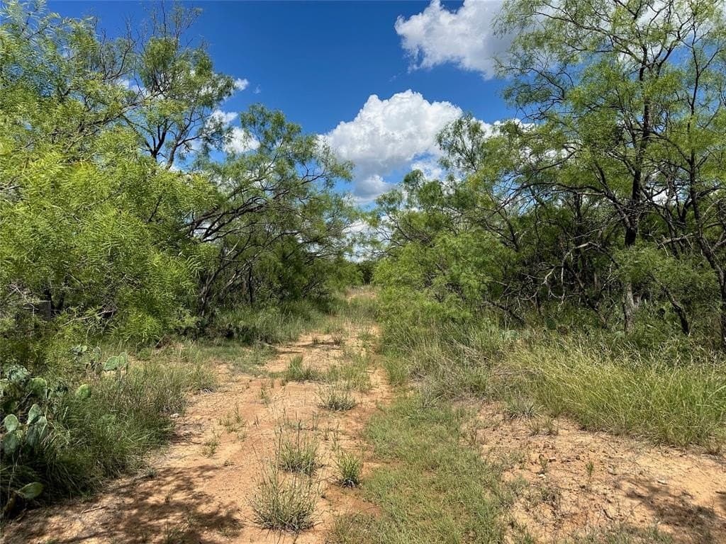 10.5 acres in Brown County - photo 12