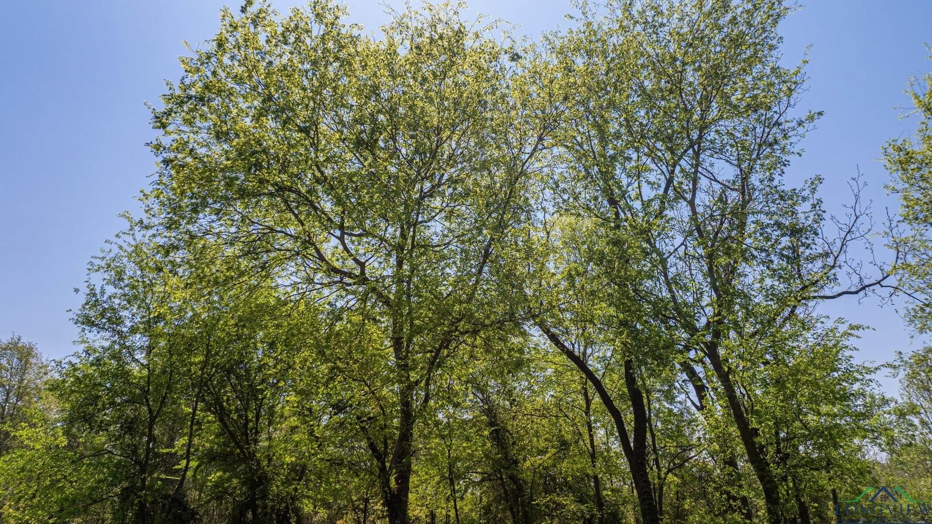 49.77 acres in Texas County - photo 34