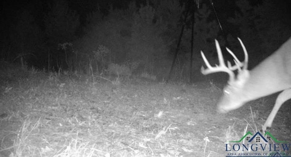 49.77 acres in Texas County - photo 40