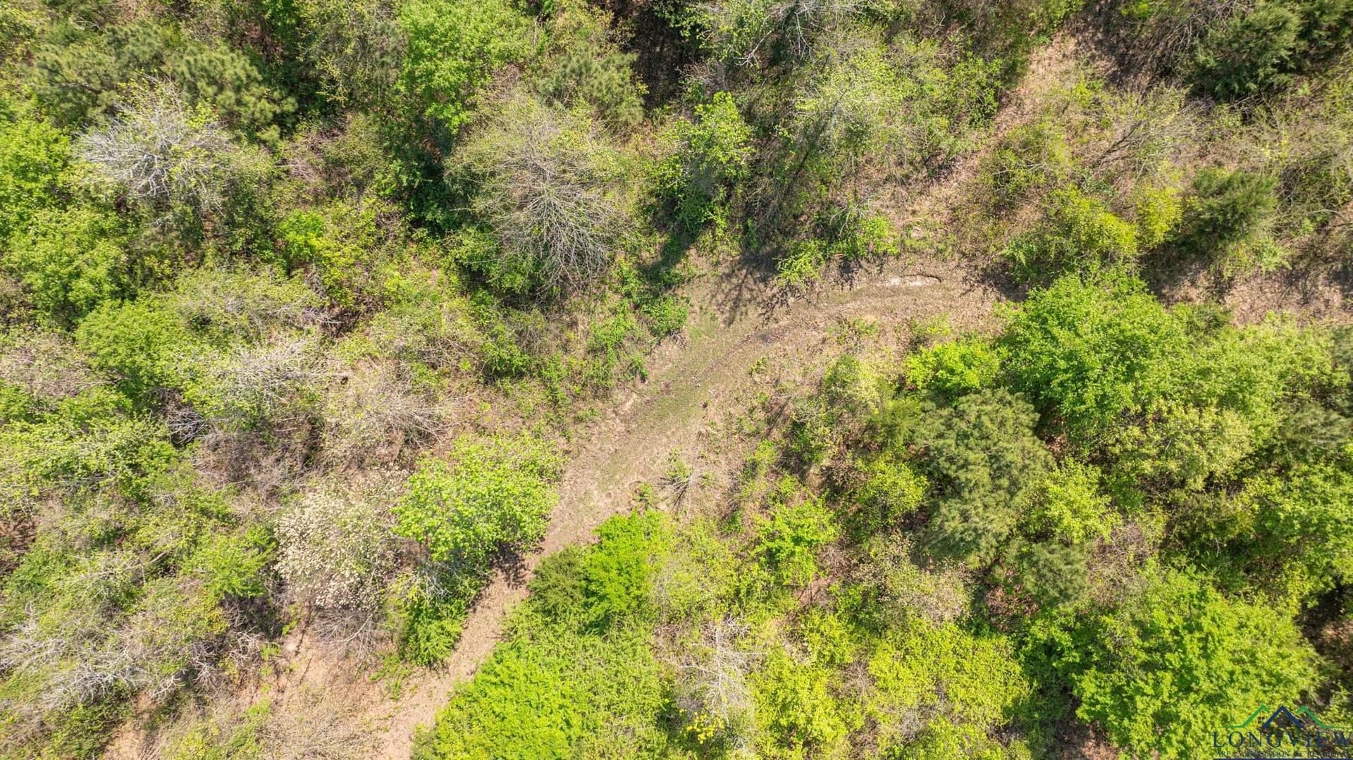 49.77 acres in Texas County - photo 25