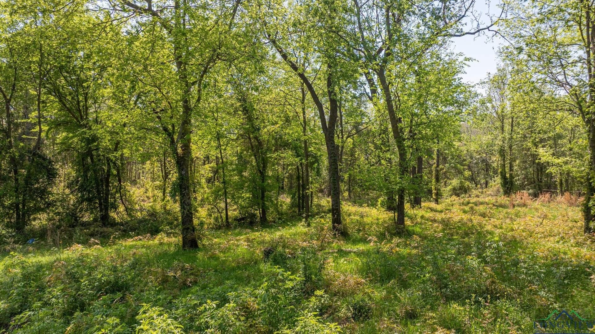 49.77 acres in Texas County - photo 33